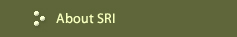 About SRI